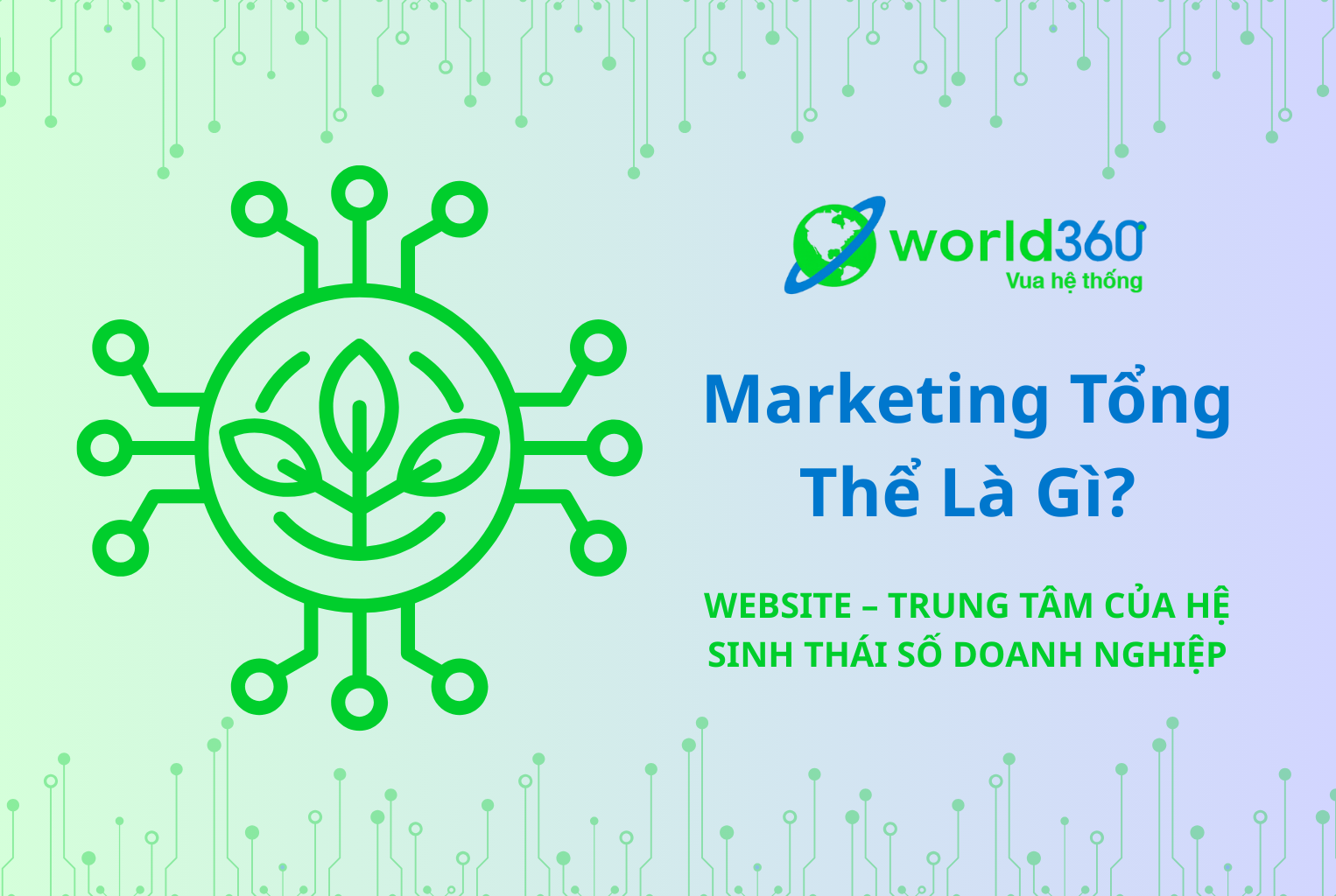 Thiết kế website , Thiết web vũng tàu, thiet ke website vung tau