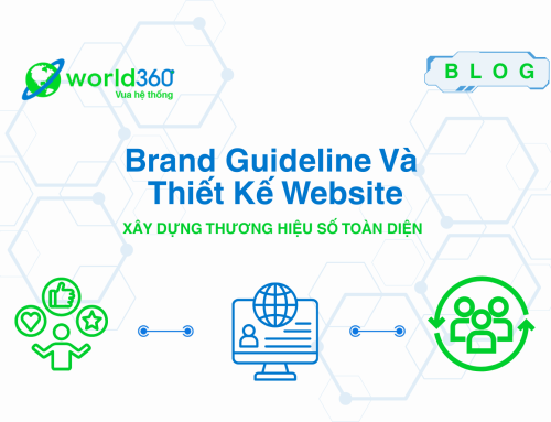 Brand Guideline và Thiết Kế Website
